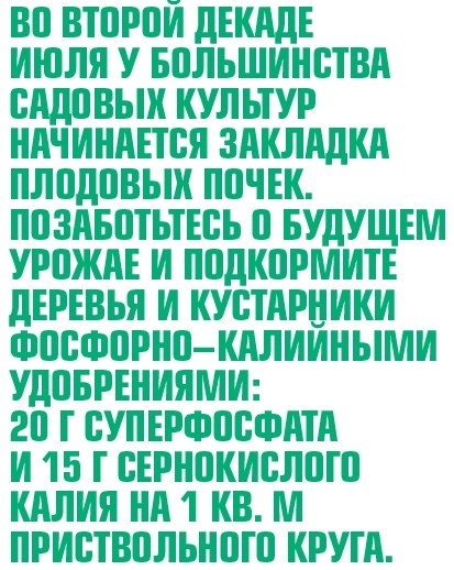    Летние заботы