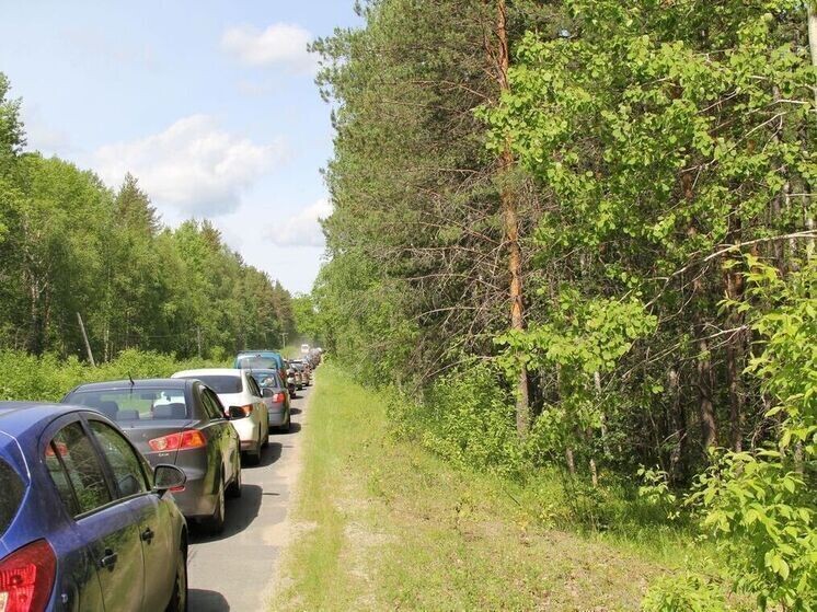     Проверки плановые. Фото: архив МК в Мурманске