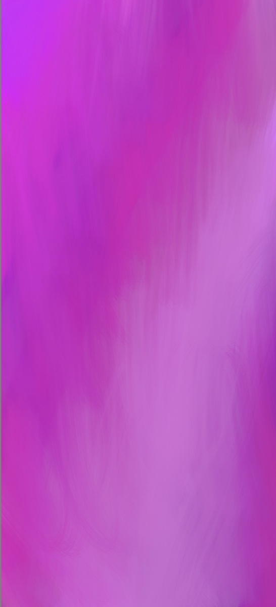 Pink rose