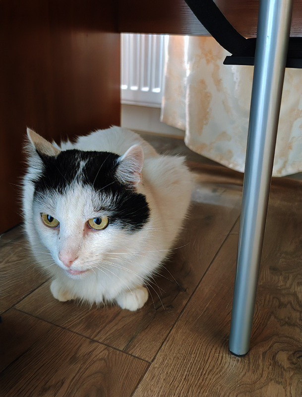 Белый дед у которого осталось всего два зуба