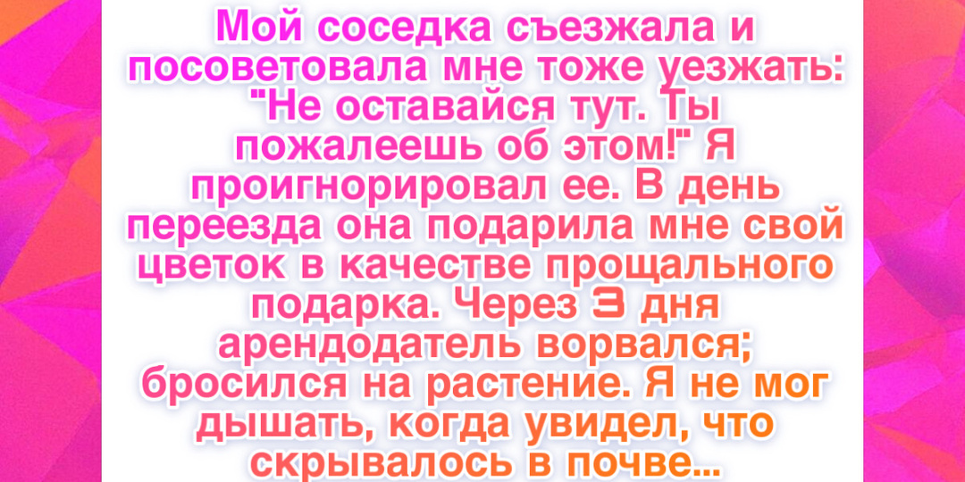 10+ историй, которые доказывают: сострадание живет в людях, даже когда сердце болит