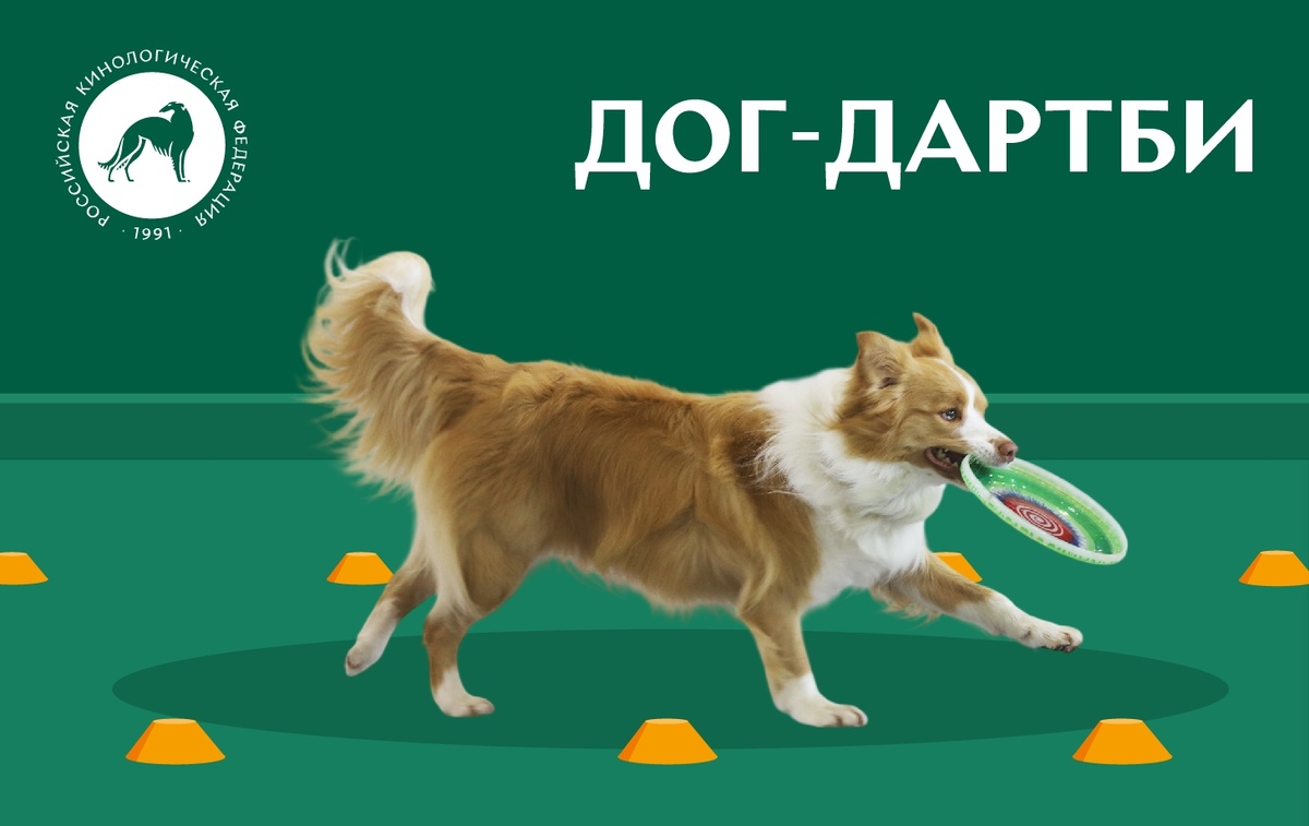 Все о дог-дартби. Источник: РКФ – Российская кинологическая федерация