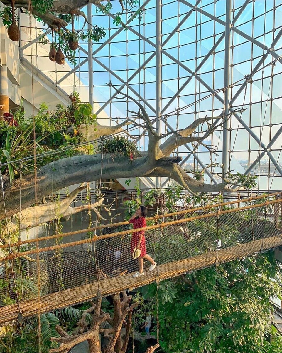 The Green Planet (Пока сафари парк закрыт отличная альтернатива зоопарк Грин Планета Зеленая планета в City Walk)