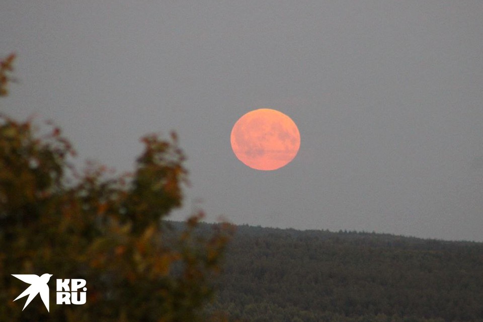    Луна поднимется над горизонтом невысоко и будет выглядеть красной Олег УКЛАДОВ