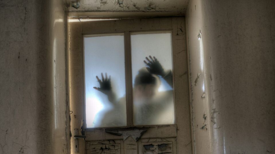    Страх. Ужас. Источник: unsplash.com
