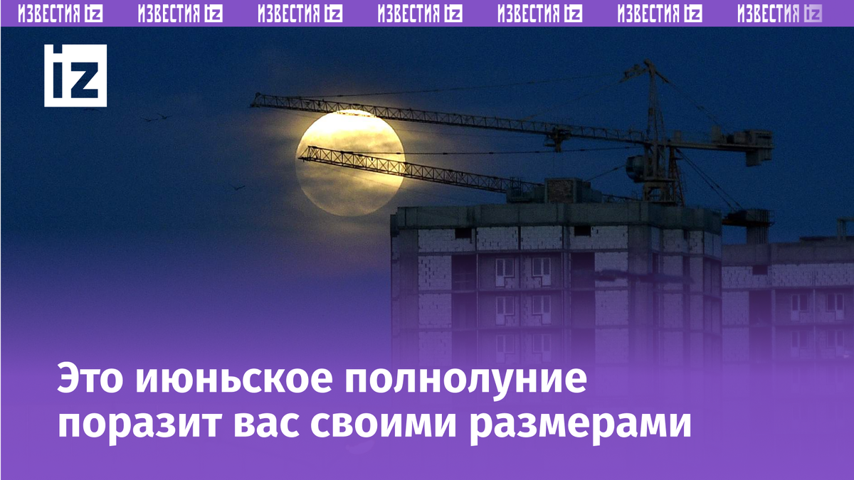 Фото: ИЗВЕСТИЯ/Александр Полегенько