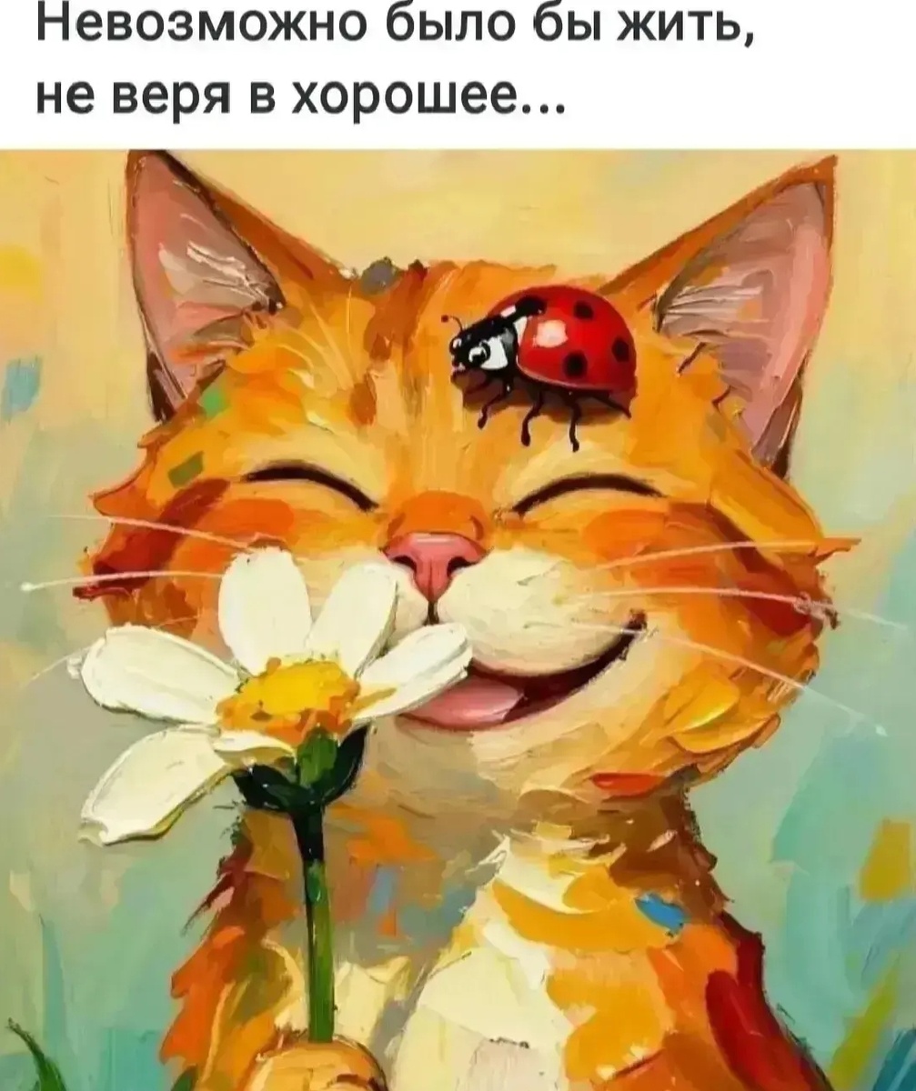 Котик для поднятия настроения 😊