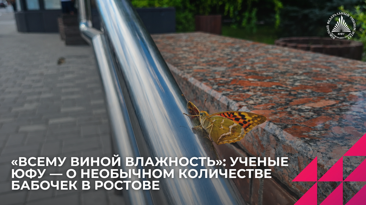 Источник: Центр общественных коммуникаций ЮФУ 