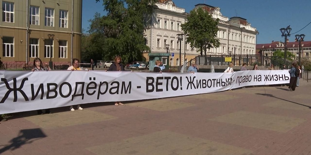 Иркутские зоозащитники провели свой первый митинг после утверждения во втором чтении резонансного законопроекта об эвтаназии бездомных