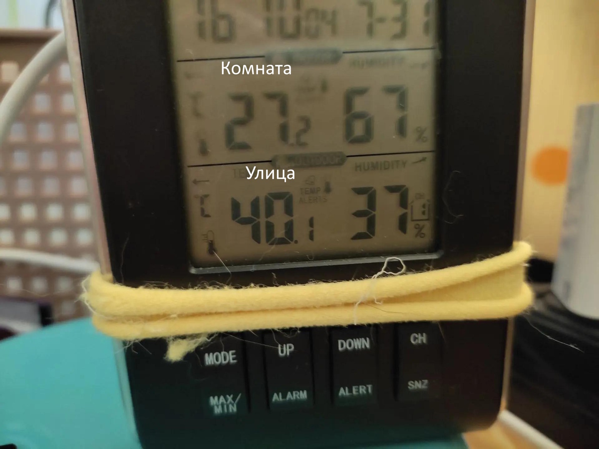 Я не шучу, на улице реально 40! Не обращайте внимания на резинку для волос вокруг термометра, это чтобы Лапка не скинула его на пол