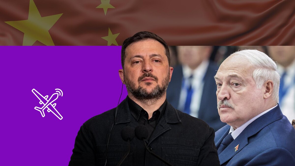 Коллаж 78.ru: Stefano Costantino; Roman Naumov/URA.RU/globallookpress.com, magnific.com/www.slon.pics, flaticon.com/Smashicons