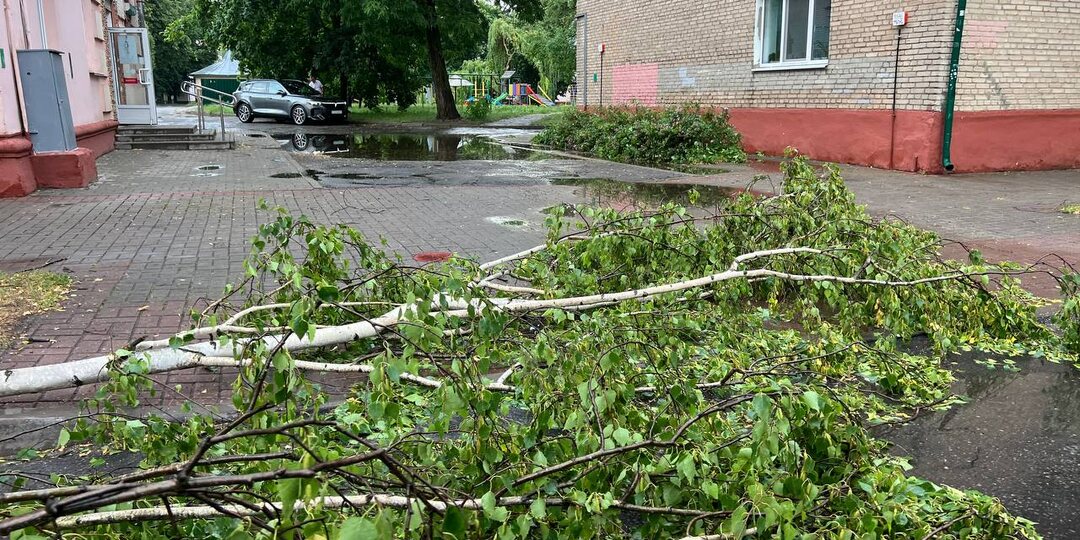 Посмотрели на последствия непогоды в Бобруйске