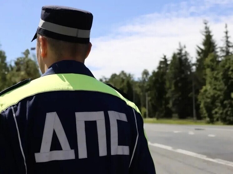     Фото: УМВД России по Псковской области