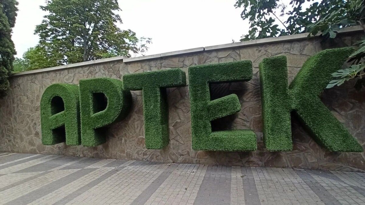    Школьников из Ростовской области вывезли из крымского детского центра «Артек»   Александр / «Яндекс. Карты»