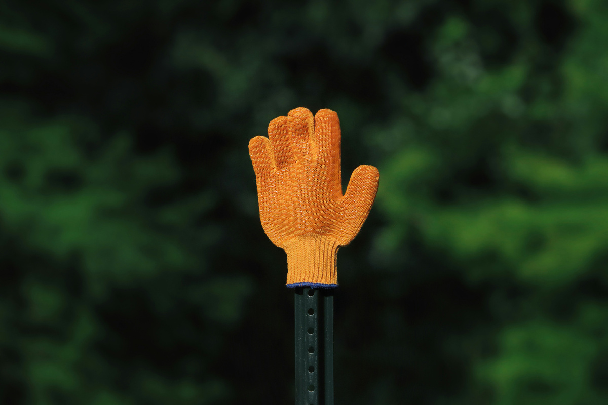 Gary Bendig  unsplash.com
