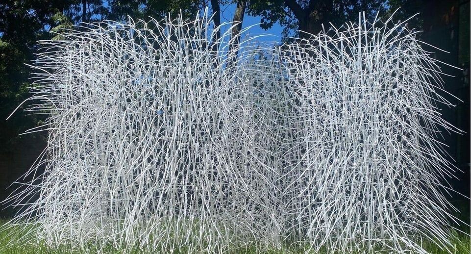    АНО "Центр городского развития"