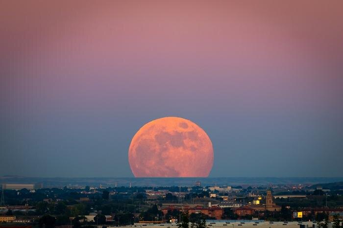 Обложка © Shutterstock / FOTODOM / Ivan Morato photography