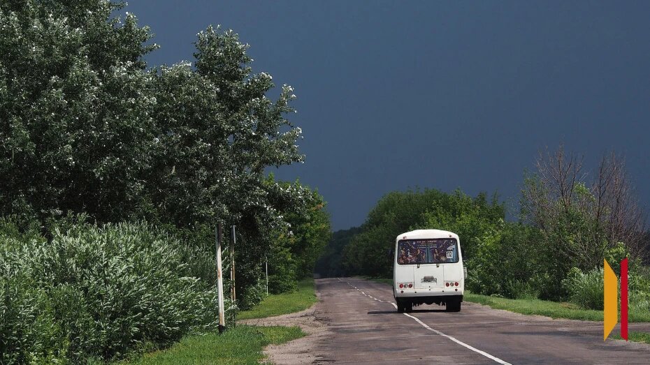 Гроза задержится в Воронежской области до 30 июня