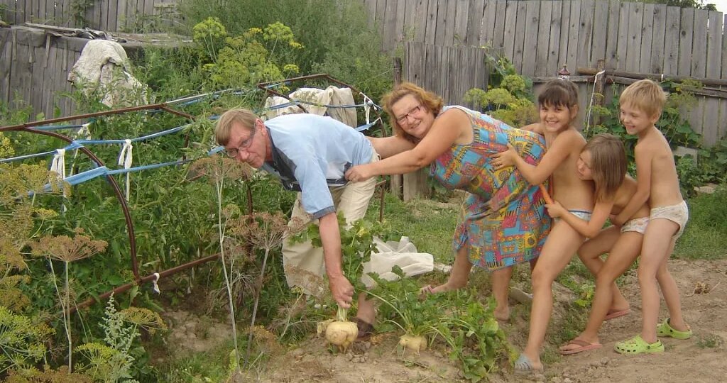 А это вы знали о репе?