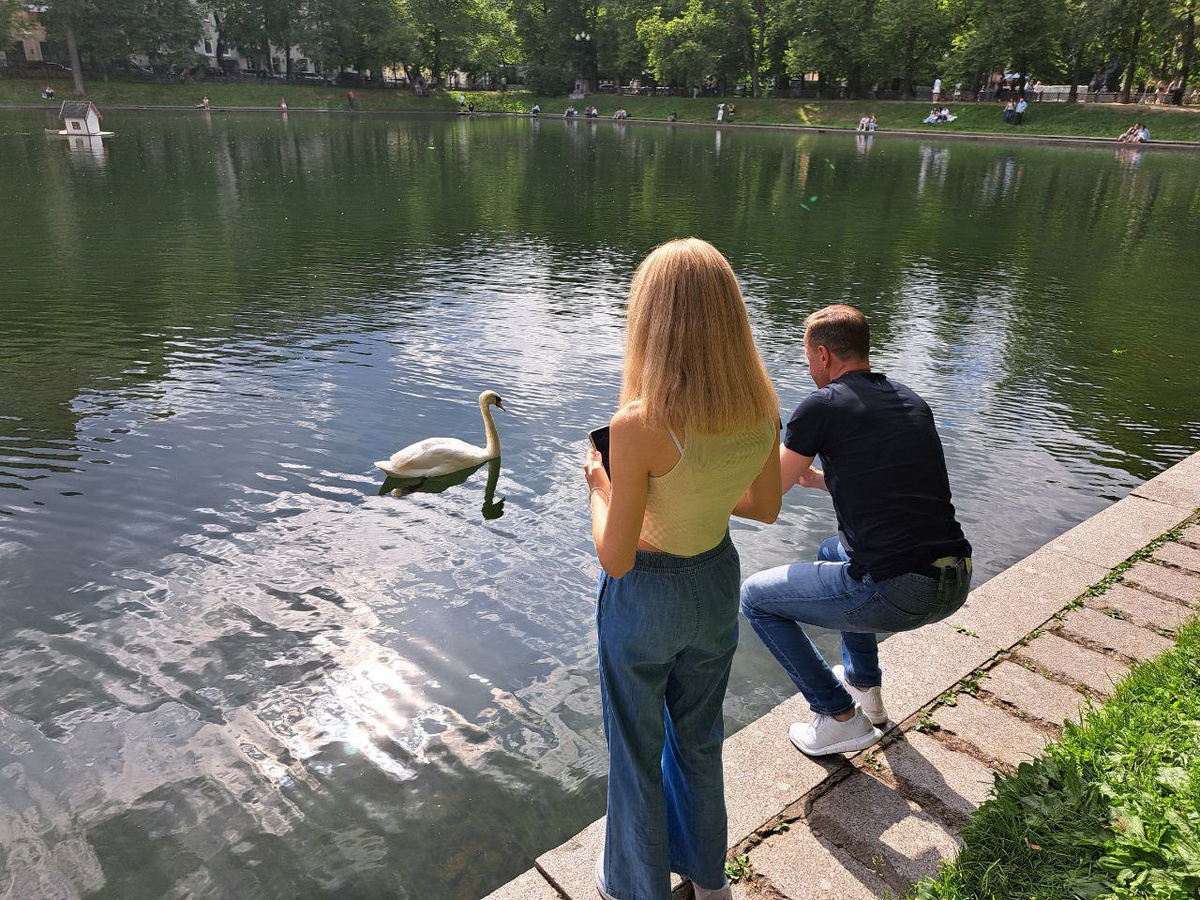 Москвичам пообещали теплый, но не экстремальный июль.  Фото: Фото: ФедералПресс / Вера Романескул