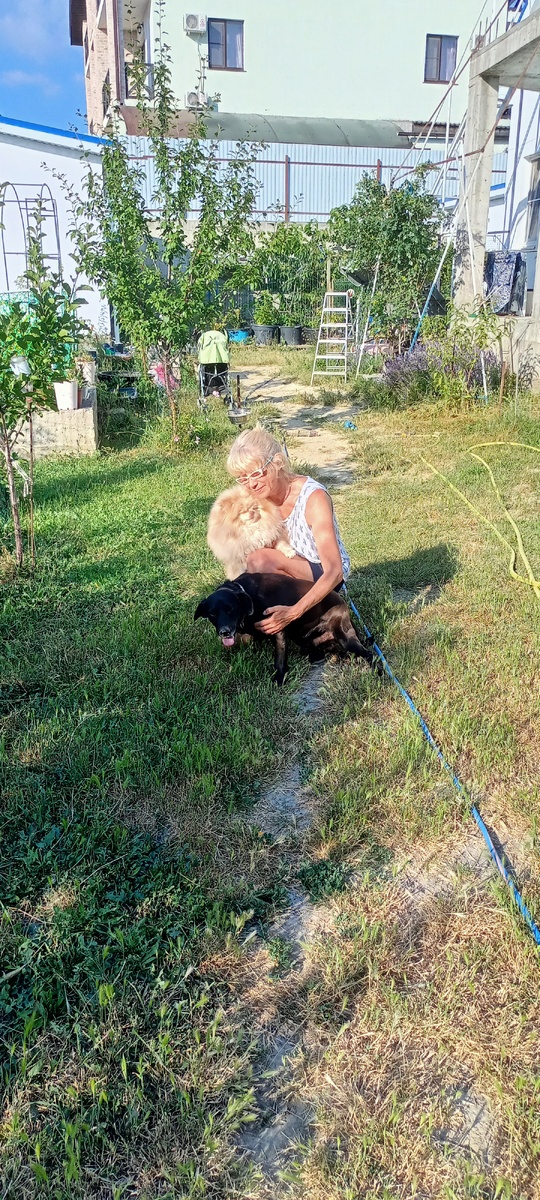 Ирина, Луна, Тоник