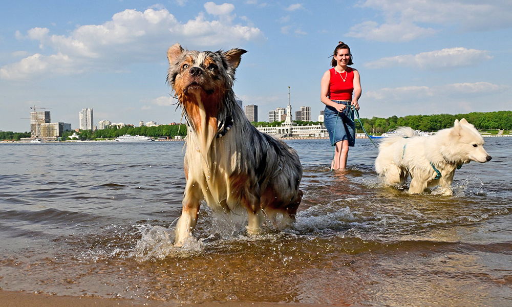    ©Агентство городских новостей "Москва"