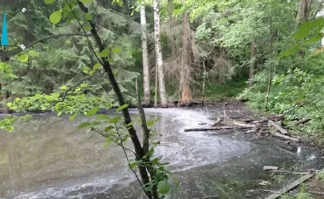    © Эконадзор Ленобласти