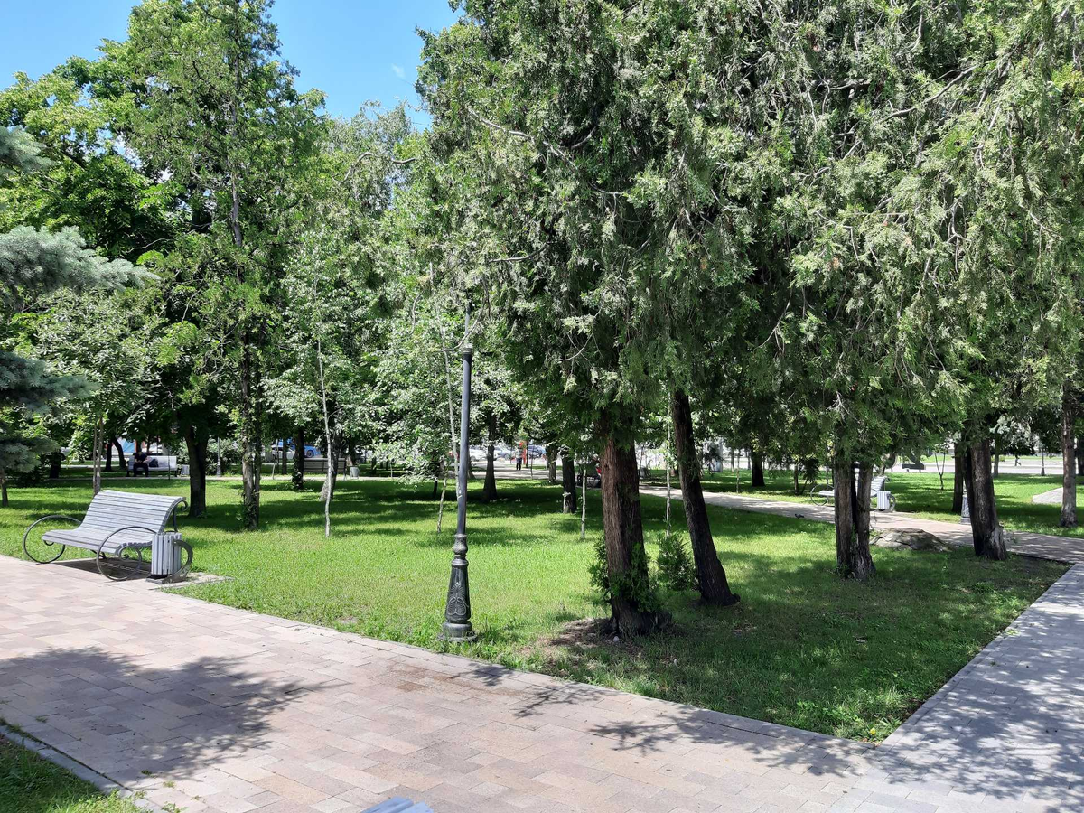 Фото автора.