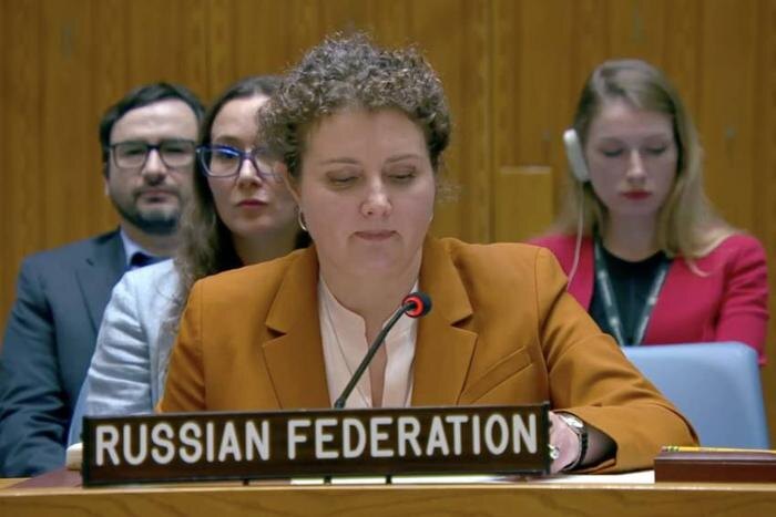 Анна Евстигнеева. Обложка © Постпредство РФ при ООН