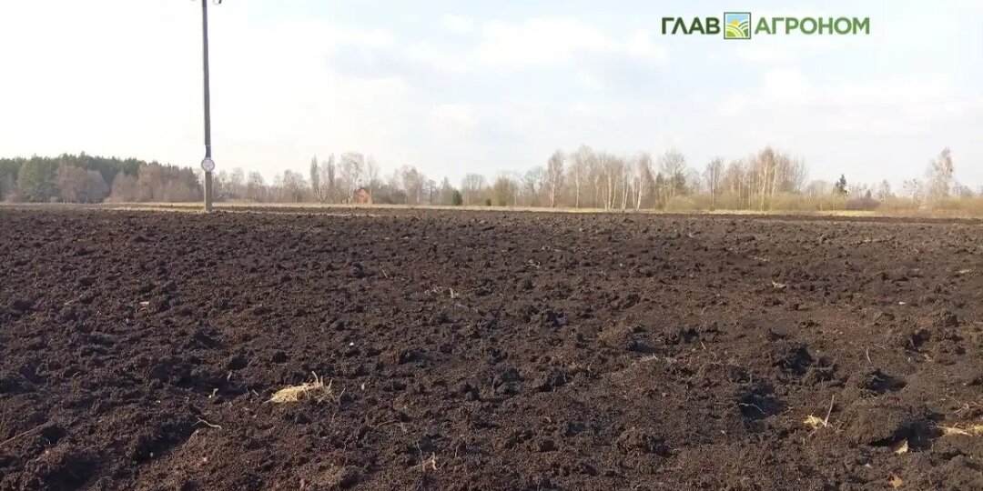 ТОП самых необычных сельскохозяйственных почв подготовил Россельхозземмониторинг