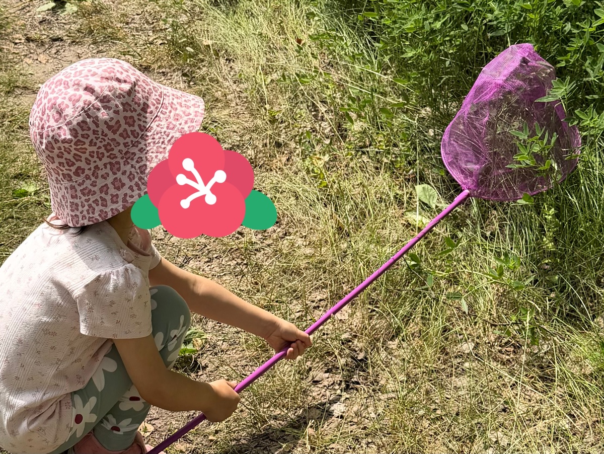 Под сачком - настоящая бабочка 🦋 поймали, понаблюдали и отпустили