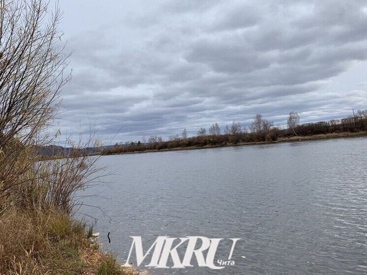     фото мк в чите