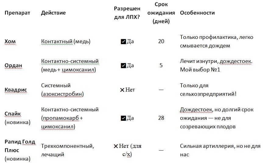 Таблица и  фото Натальи Мироновой