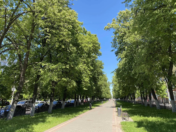     Фото МК в Рязани