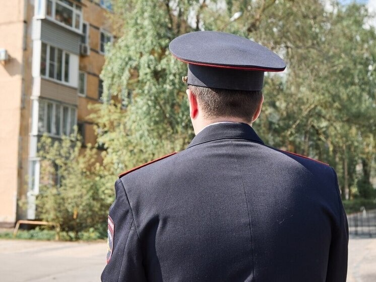     Фото: МК в Пензе