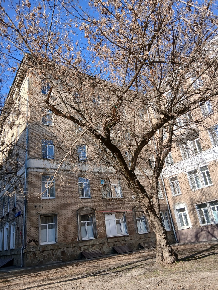 Расположены апартаменты в пятиэтажном доме по адресу: Москва, улица Петра Романова, 7, стр. 1.
