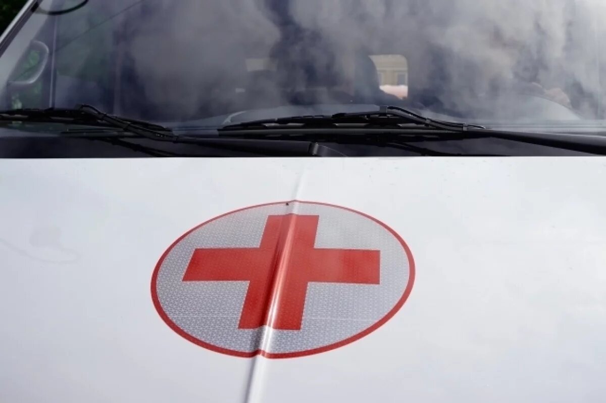    Мотоциклист и его пассажирка погибли, врезавшись в лося в Ленобласти