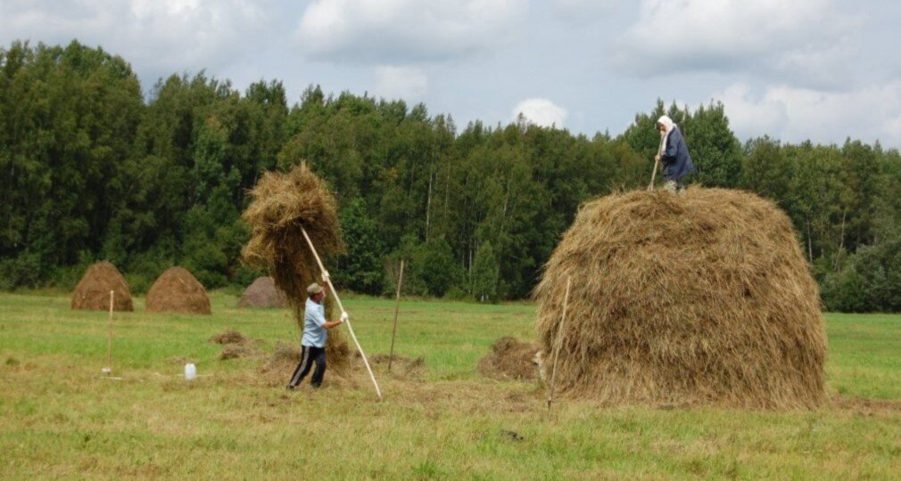 ПОСЛЕДНИЙ ПОКОС