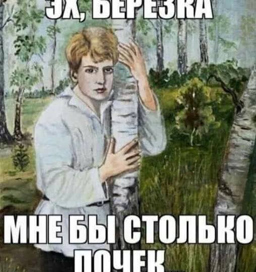 Сколько от вашей почки осталось?