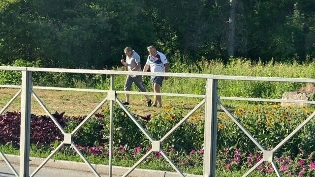   соцсети