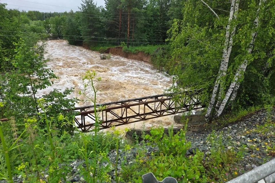    Русло реки Застава, которое проходит через город, хотели изменить. Фото: Департамент информационной политики