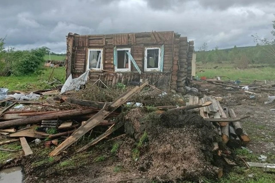    В Кушве после смерча нашли собаку, унесенную ураганом в лес. Фото: Подслушано в Кушве/vk.com