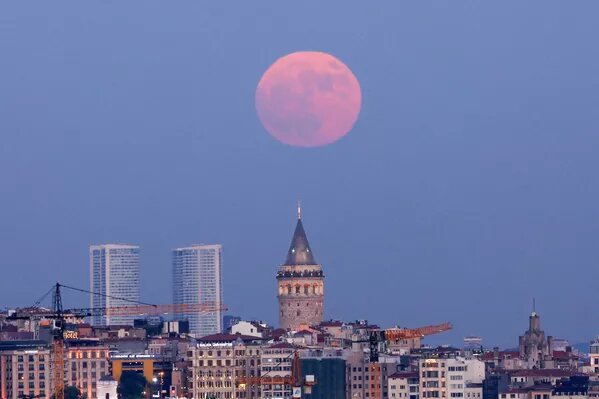 © REUTERS Dilara Senkaya