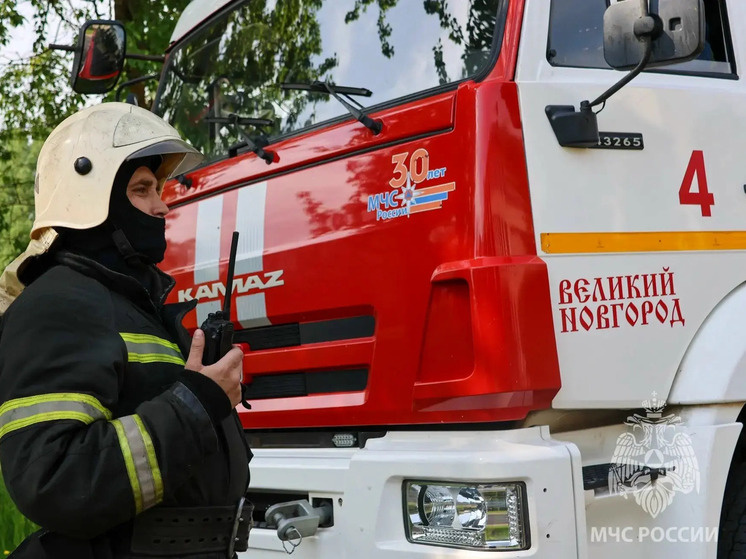     фото: пресс-служба ГУ МЧС РФ по Новгородской области