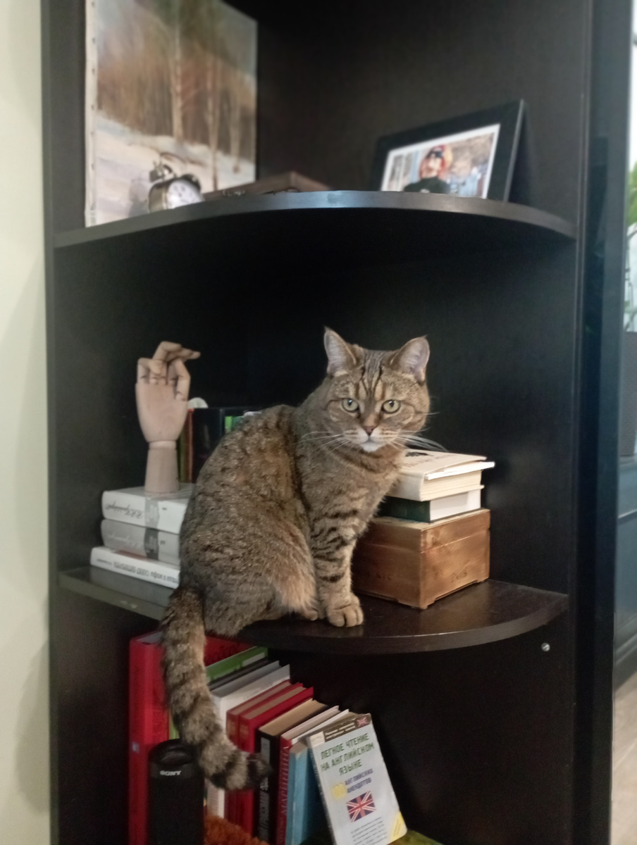 Масяна наша стремится к знаниям. Не почитать книги, так хоть прикоснуться к великому. 