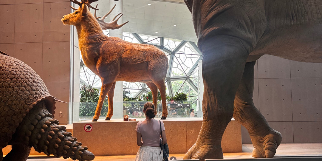 Музей может быть интересным Shanghai Natural History Museum