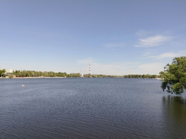     Мэр Белгорода анонсировал создание аллеи сирени на «Берегах», фото: МК в Белгороде (архив)