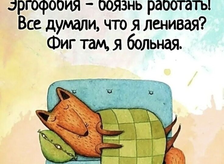 Котомемы веселая подборка