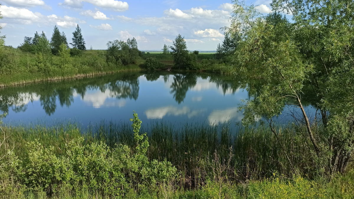 Не красота ли?