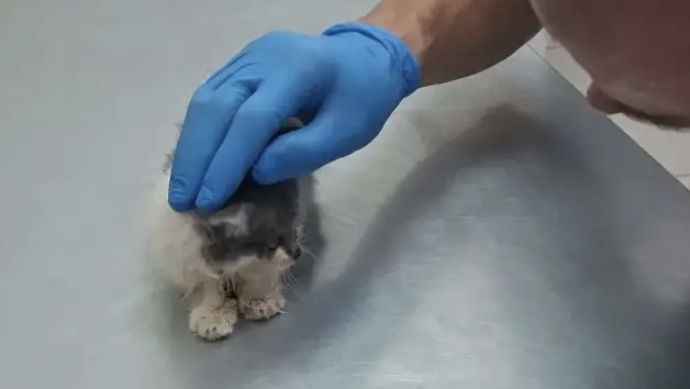 -1-2